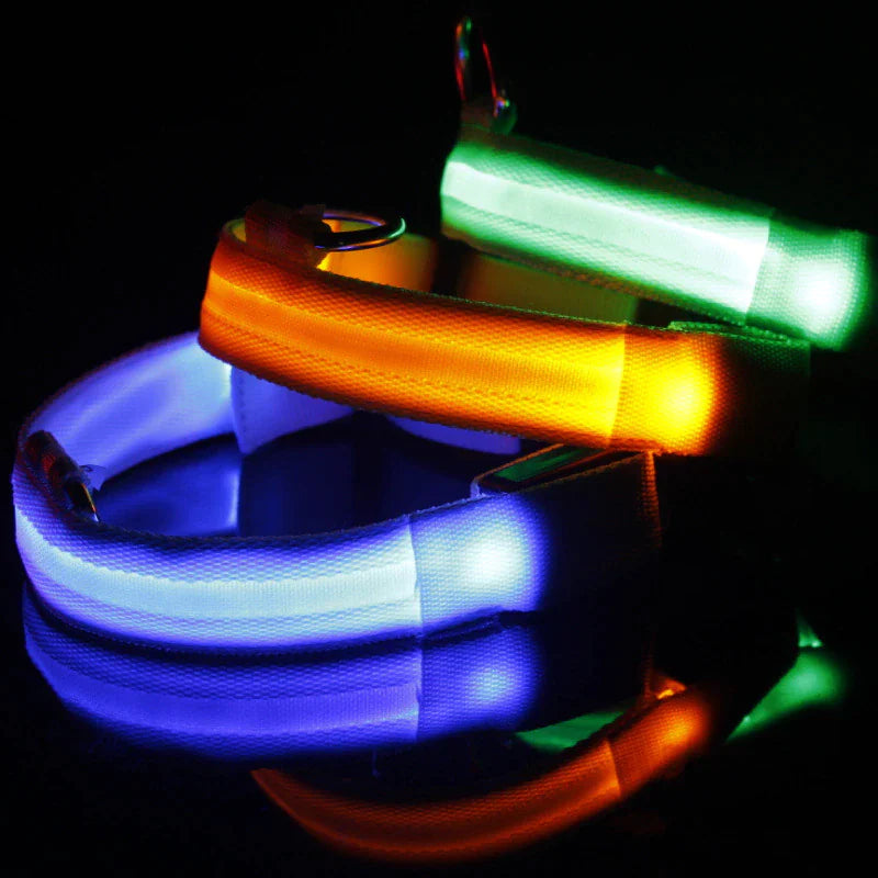 Adjustable LED Flashing Light Dog Collar