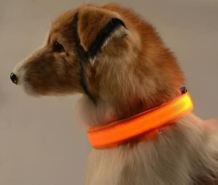 Adjustable LED Flashing Light Dog Collar