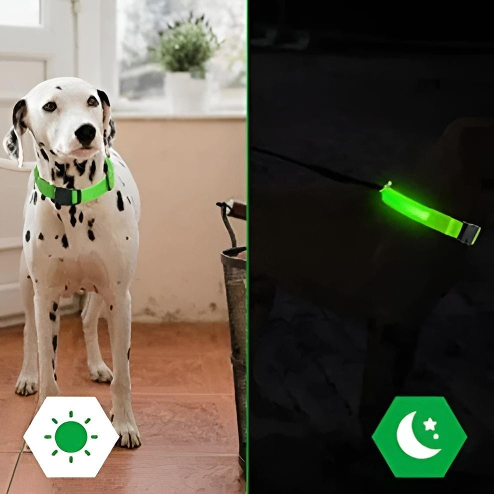 Adjustable LED Flashing Light Dog Collar