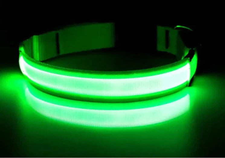 Adjustable LED Flashing Light Dog Collar