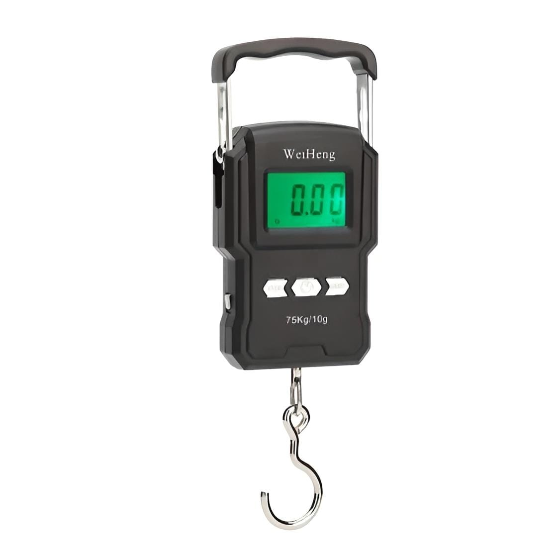Electronic Scale