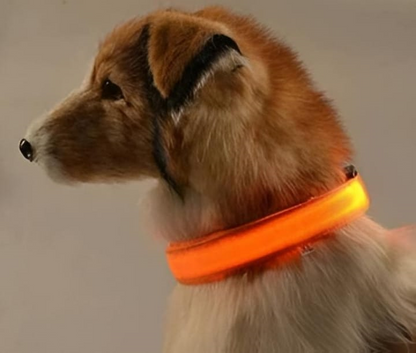 Adjustable LED Flashing Light Dog Collar