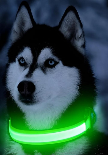 Adjustable LED Flashing Light Dog Collar