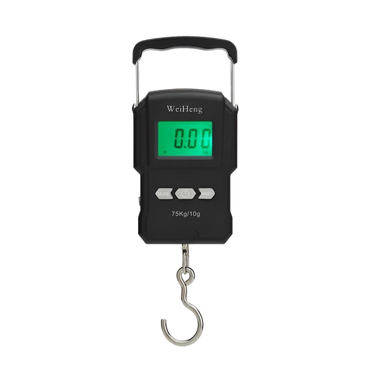 Electronic Scale